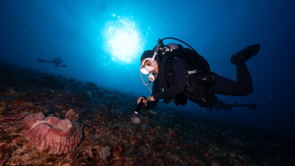 Deep Diving